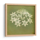 Sueños Filtrados Xi - Jennifer Jorgensen | Cuadro decorativo de Canvas Lab