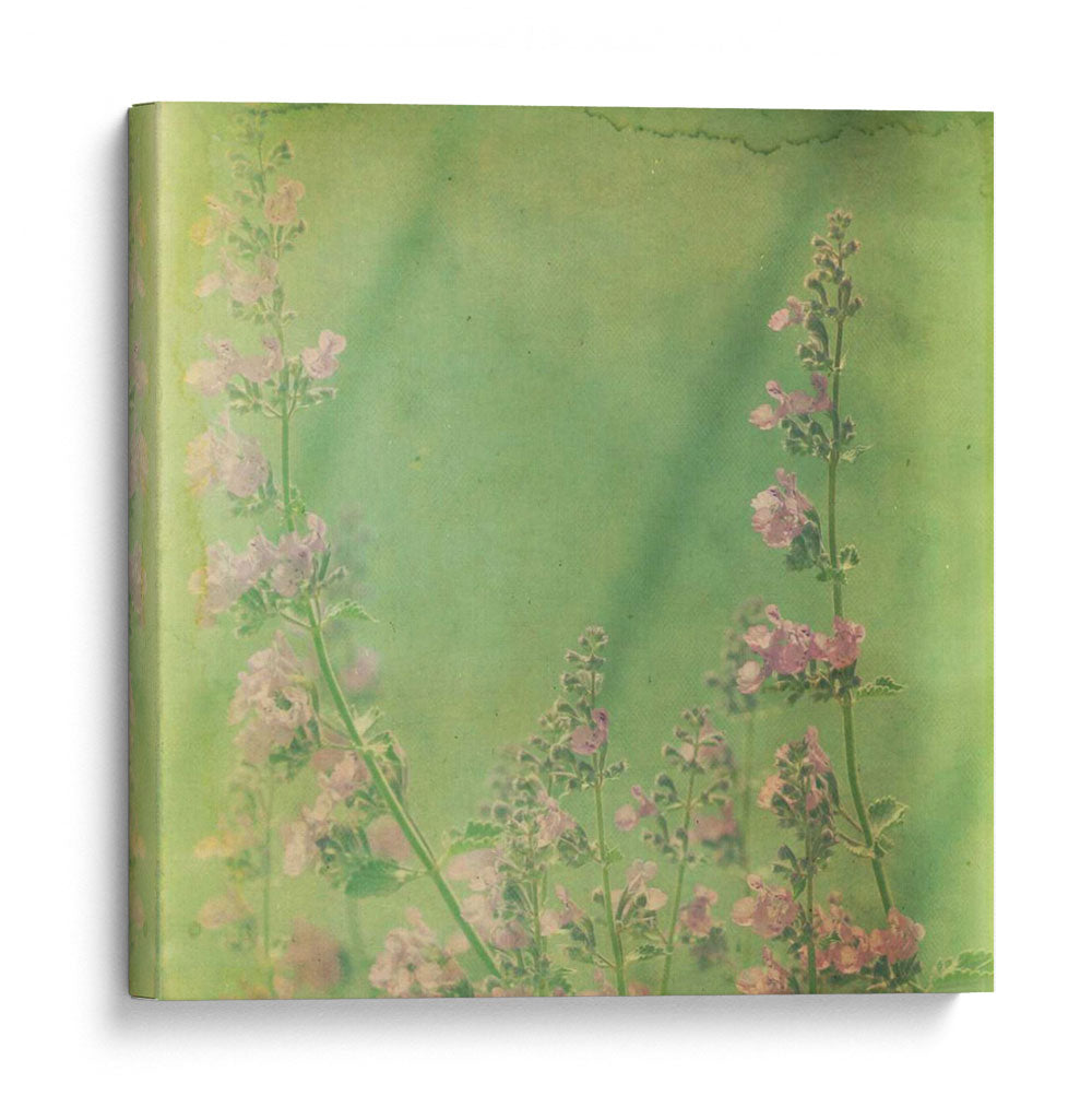 Sueños Filtrados Xii - Jennifer Jorgensen | Cuadro decorativo de Canvas Lab