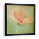 Sueño En Rosa I - Jennifer Jorgensen | Cuadro decorativo de Canvas Lab