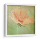 Sueño En Rosa I - Jennifer Jorgensen | Cuadro decorativo de Canvas Lab