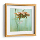 Sueño En Rosa Ii - Jennifer Jorgensen | Cuadro decorativo de Canvas Lab