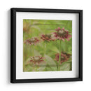 Sueño En Rosa Iii - Jennifer Jorgensen | Cuadro decorativo de Canvas Lab