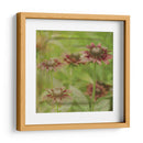 Sueño En Rosa Iii - Jennifer Jorgensen | Cuadro decorativo de Canvas Lab