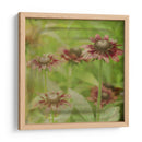 Sueño En Rosa Iii - Jennifer Jorgensen | Cuadro decorativo de Canvas Lab