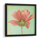 Sueño En Rosa Vii - Jennifer Jorgensen | Cuadro decorativo de Canvas Lab