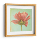 Sueño En Rosa Vii - Jennifer Jorgensen | Cuadro decorativo de Canvas Lab