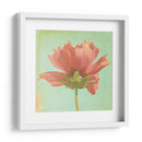 Sueño En Rosa Vii - Jennifer Jorgensen | Cuadro decorativo de Canvas Lab