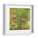 Sueño En Rosa Ix - Jennifer Jorgensen | Cuadro decorativo de Canvas Lab