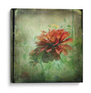 Sueño En Rosa Xi - Jennifer Jorgensen | Cuadro decorativo de Canvas Lab