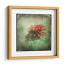 Sueño En Rosa Xi - Jennifer Jorgensen | Cuadro decorativo de Canvas Lab