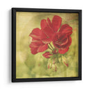 El Momento Iv - Jennifer Jorgensen | Cuadro decorativo de Canvas Lab