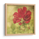 El Momento Iv - Jennifer Jorgensen | Cuadro decorativo de Canvas Lab