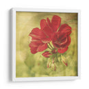 El Momento Iv - Jennifer Jorgensen | Cuadro decorativo de Canvas Lab