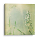 Rutas Pastel Ix - Jennifer Jorgensen | Cuadro decorativo de Canvas Lab