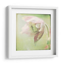 Caminos En Colores Pastel Xii - Jennifer Jorgensen | Cuadro decorativo de Canvas Lab