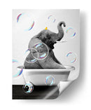 Elephant Bath - Animals Daily | Cuadro decorativo de Canvas Lab