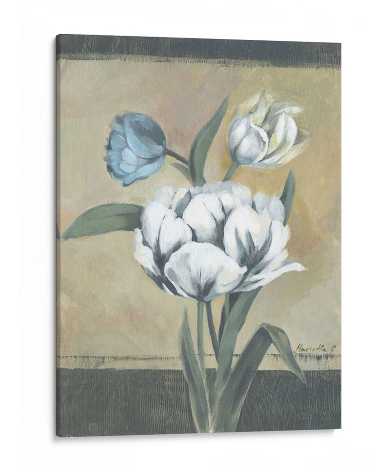 Tulipanes Blancos I - Marietta Cohen | Cuadro decorativo de Canvas Lab