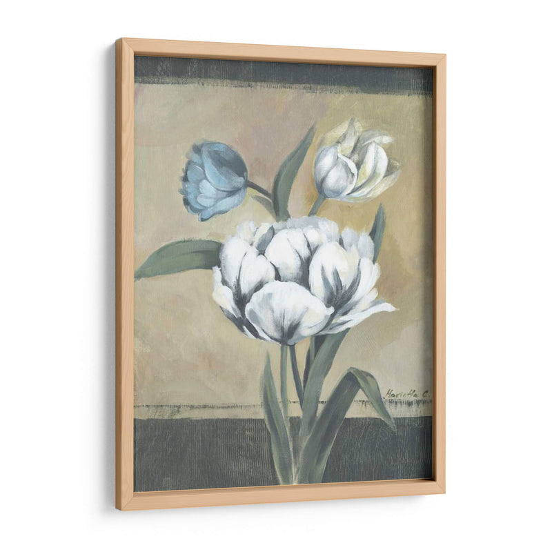 Tulipanes Blancos I - Marietta Cohen | Cuadro decorativo de Canvas Lab