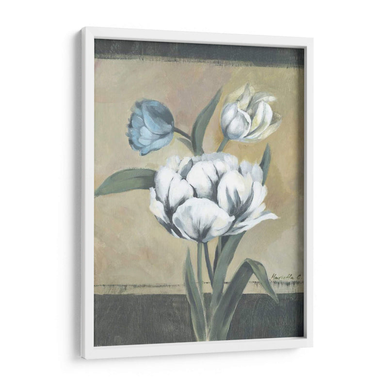 Tulipanes Blancos I - Marietta Cohen | Cuadro decorativo de Canvas Lab