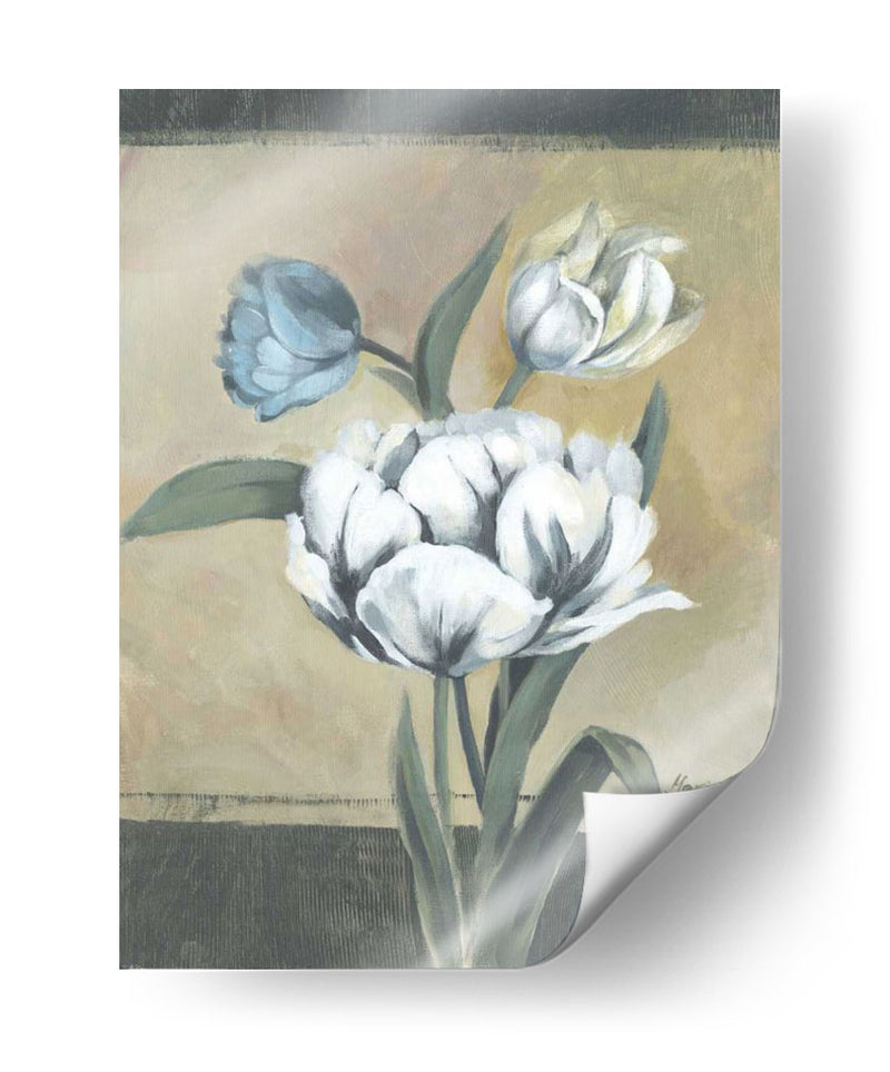 Tulipanes Blancos I - Marietta Cohen | Cuadro decorativo de Canvas Lab