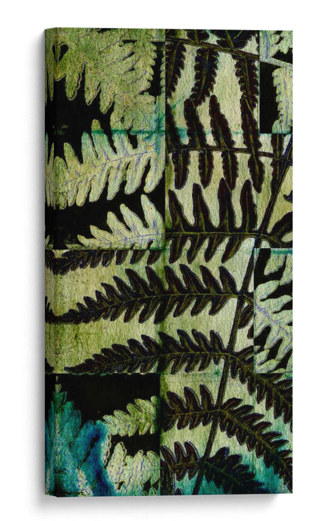 Midnight Ferns Ii - Vision Studio | Cuadro decorativo de Canvas Lab