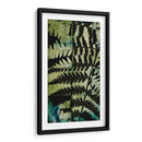 Midnight Ferns Ii - Vision Studio | Cuadro decorativo de Canvas Lab