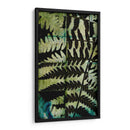 Midnight Ferns Ii - Vision Studio | Cuadro decorativo de Canvas Lab