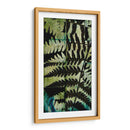 Midnight Ferns Ii - Vision Studio | Cuadro decorativo de Canvas Lab