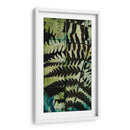 Midnight Ferns Ii - Vision Studio | Cuadro decorativo de Canvas Lab