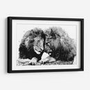 Familia de Leones BnW - Hue Art | Cuadro decorativo de Canvas Lab