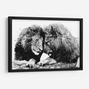 Familia de Leones BnW - Hue Art | Cuadro decorativo de Canvas Lab