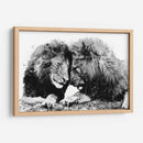 Familia de Leones BnW - Hue Art | Cuadro decorativo de Canvas Lab