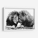 Familia de Leones BnW - Hue Art | Cuadro decorativo de Canvas Lab