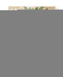 Hojas Y Peras - Jade Reynolds | Cuadro decorativo de Canvas Lab