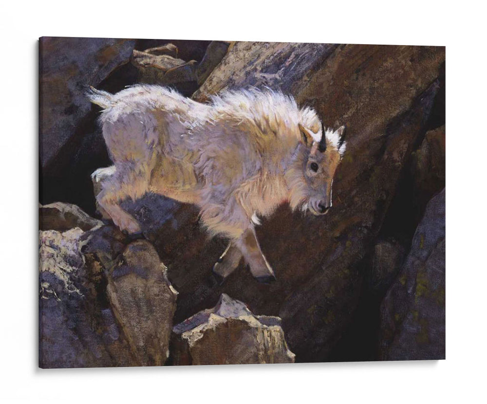 Rockhopper - Julie T. Chapman | Cuadro decorativo de Canvas Lab