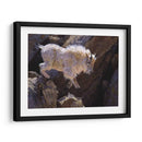 Rockhopper - Julie T. Chapman | Cuadro decorativo de Canvas Lab