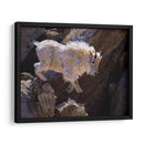 Rockhopper - Julie T. Chapman | Cuadro decorativo de Canvas Lab