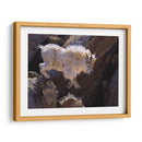 Rockhopper - Julie T. Chapman | Cuadro decorativo de Canvas Lab