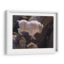 Rockhopper - Julie T. Chapman | Cuadro decorativo de Canvas Lab