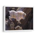 Rockhopper - Julie T. Chapman | Cuadro decorativo de Canvas Lab