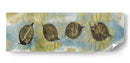 Banner De Hoja Ii - Elena Ray | Cuadro decorativo de Canvas Lab