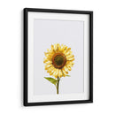 Sunflower Graffiti - David Aste | Cuadro decorativo de Canvas Lab
