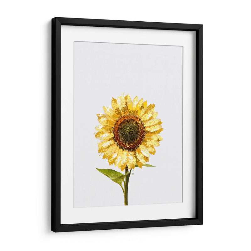 Sunflower Graffiti - David Aste | Cuadro decorativo de Canvas Lab