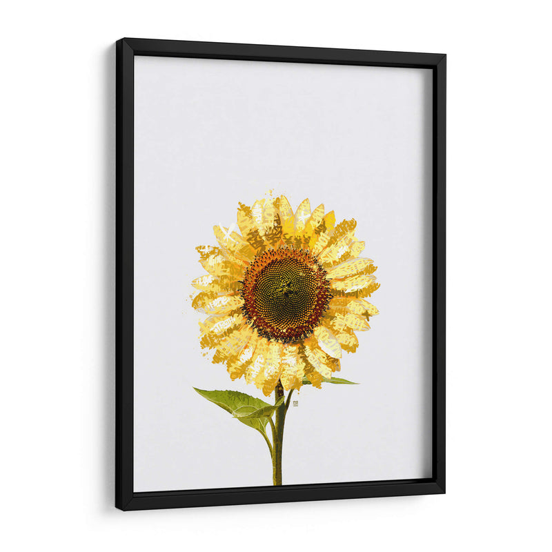 Sunflower Graffiti - David Aste | Cuadro decorativo de Canvas Lab