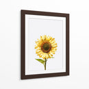 Sunflower Graffiti - David Aste | Cuadro decorativo de Canvas Lab