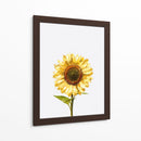 Sunflower Graffiti - David Aste | Cuadro decorativo de Canvas Lab