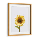 Sunflower Graffiti - David Aste | Cuadro decorativo de Canvas Lab