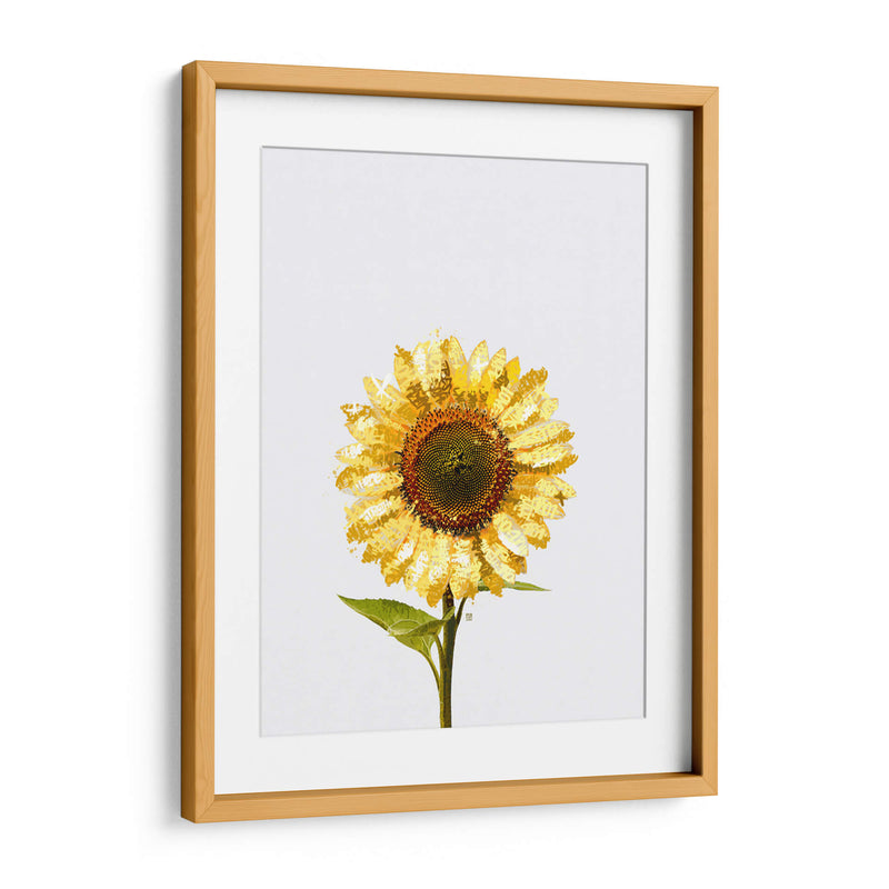 Sunflower Graffiti - David Aste | Cuadro decorativo de Canvas Lab