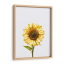 Sunflower Graffiti - David Aste | Cuadro decorativo de Canvas Lab