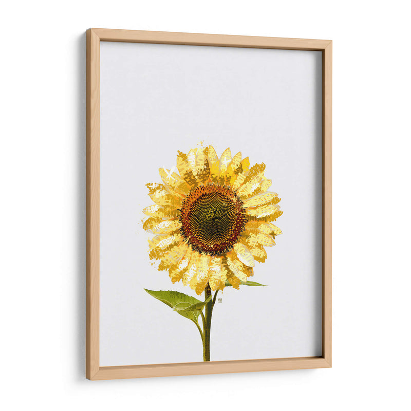 Sunflower Graffiti - David Aste | Cuadro decorativo de Canvas Lab